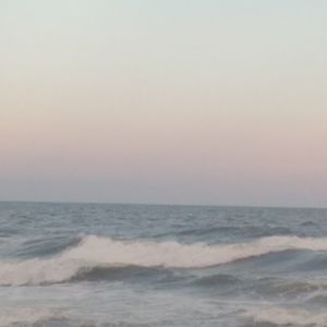 Meet your Posher, Connie